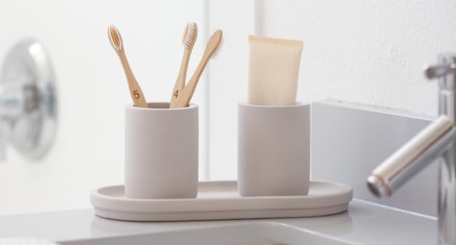 Diatomite Sponge Holder