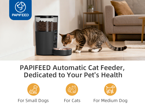cat feeder