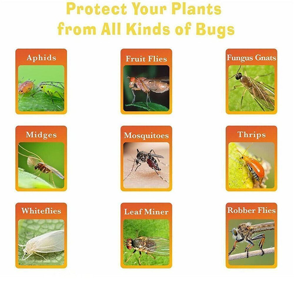 https://i.frog.ink/4uu9fTgT/234884540592-4_600.jpg?v=1675465753.057