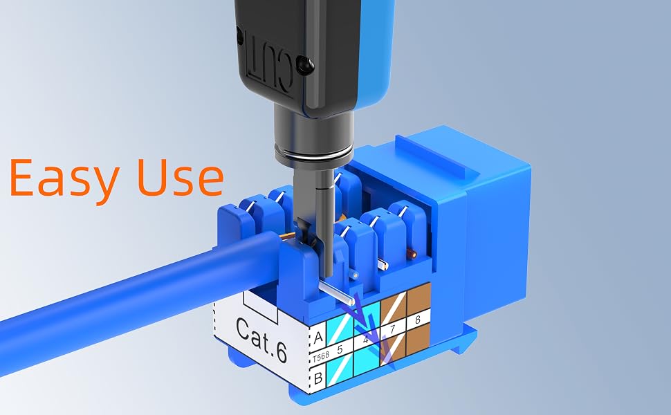 cat6 keystone blue