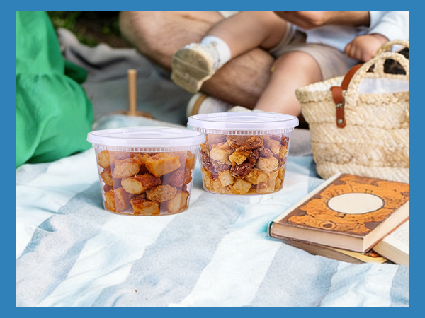 to go containers with lids