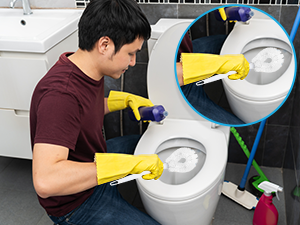 tidy plunger seat set toto scrubs flushes scrubber new house must haves accesorios para