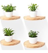 MITREL Small Wood Floating Shelves (4-Pack, 6-inch Diameter) - Round Sturdy Invisible Wall Mount ...