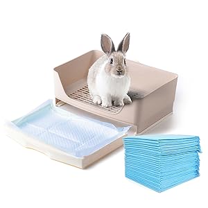 for litter box