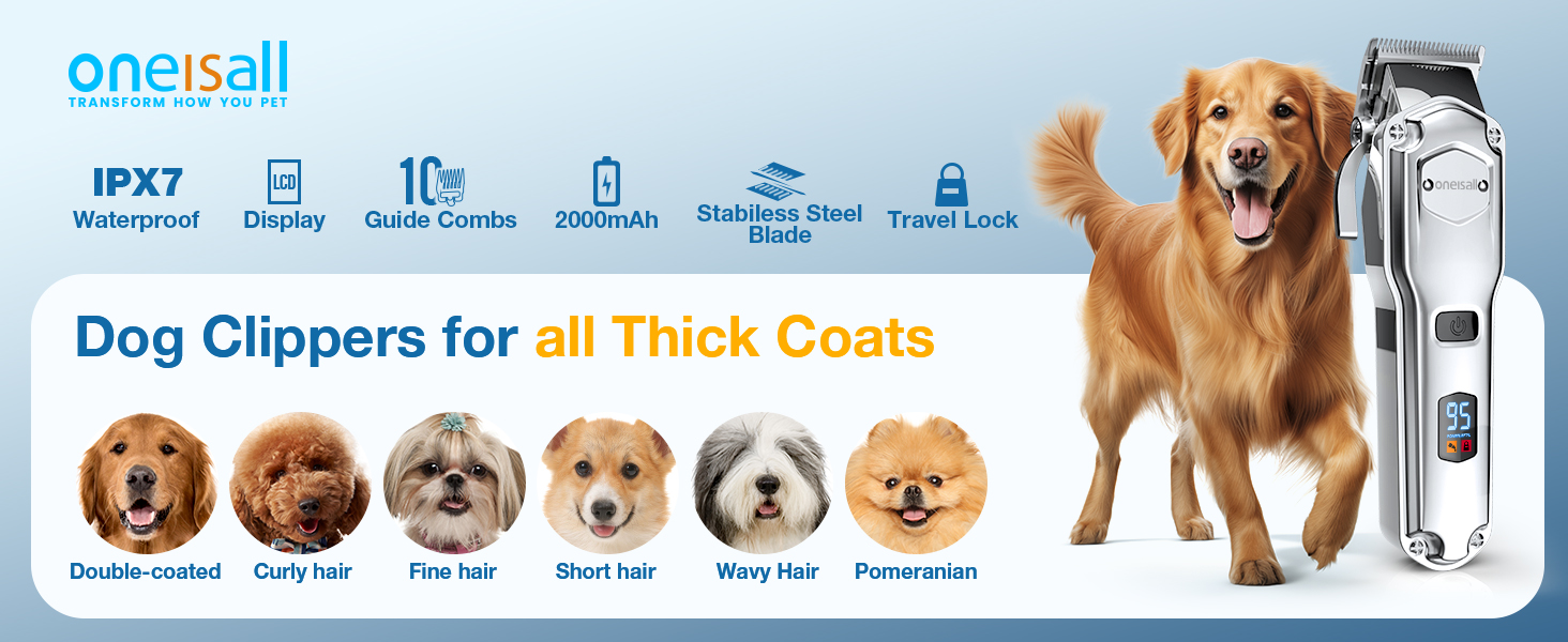 dog grooming