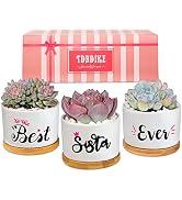 TDHDIKE Sisters Gifts from Sister or Brother Pretty Birthday Gift for Sister, Unique Succulent Pl...