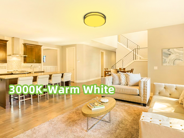 Flush Mount LED Ceiling Light Fixture