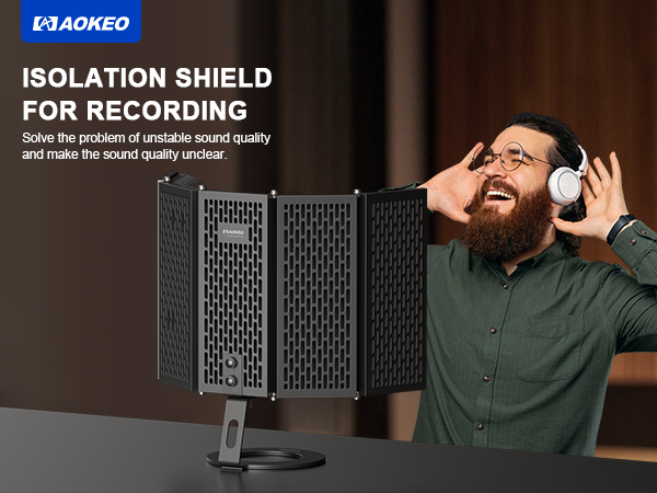 microphone filter