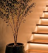 LANXEE Motion Sensor Stair Lights
