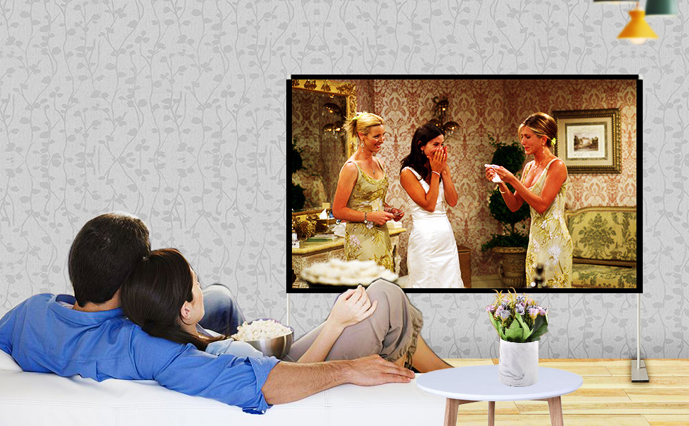 projector screen with stand