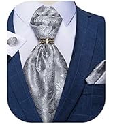 DiBanGu Paisley Ascot Ties for Men Silk Woven Cravat Tie and Pocket Square Cufflinks Set with Tie...