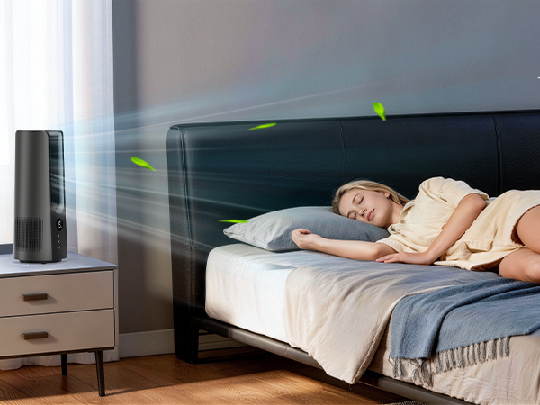 bed fan