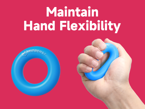 FitBeast Hand Grip Strengthener Workout Kit