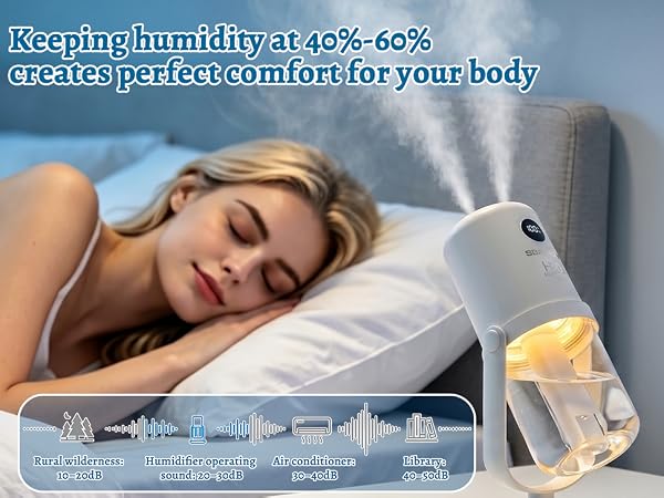 Dual Mist Portable Humidifier
