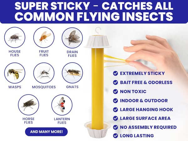Super sticky indoor fly trap for home. Catches all common insects. Fly traps outdoor.