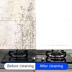 cleaning sponge