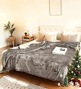 Electric Heated Blanket Full Size 72