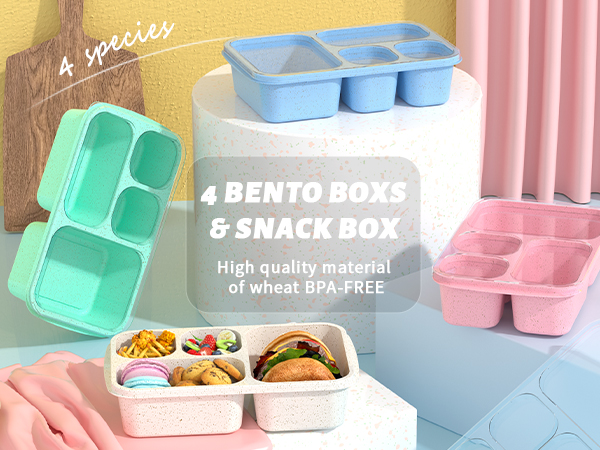 bento adult lunch box