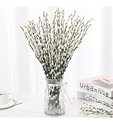 40 Stems Preserved Willow Branches - 16''-17'' Real Dried Pussywillow with White Flowers, N...
