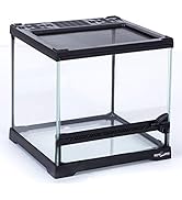 REPTIZOO Mini Reptile Glass Terrarium Tank 8"x8"x8", Front Opening Door Full View Visually Appeal...