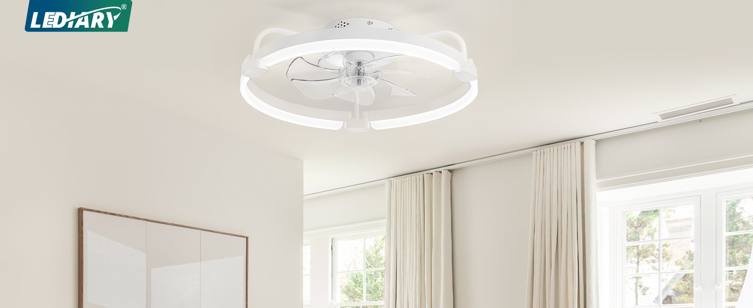ceiling fan