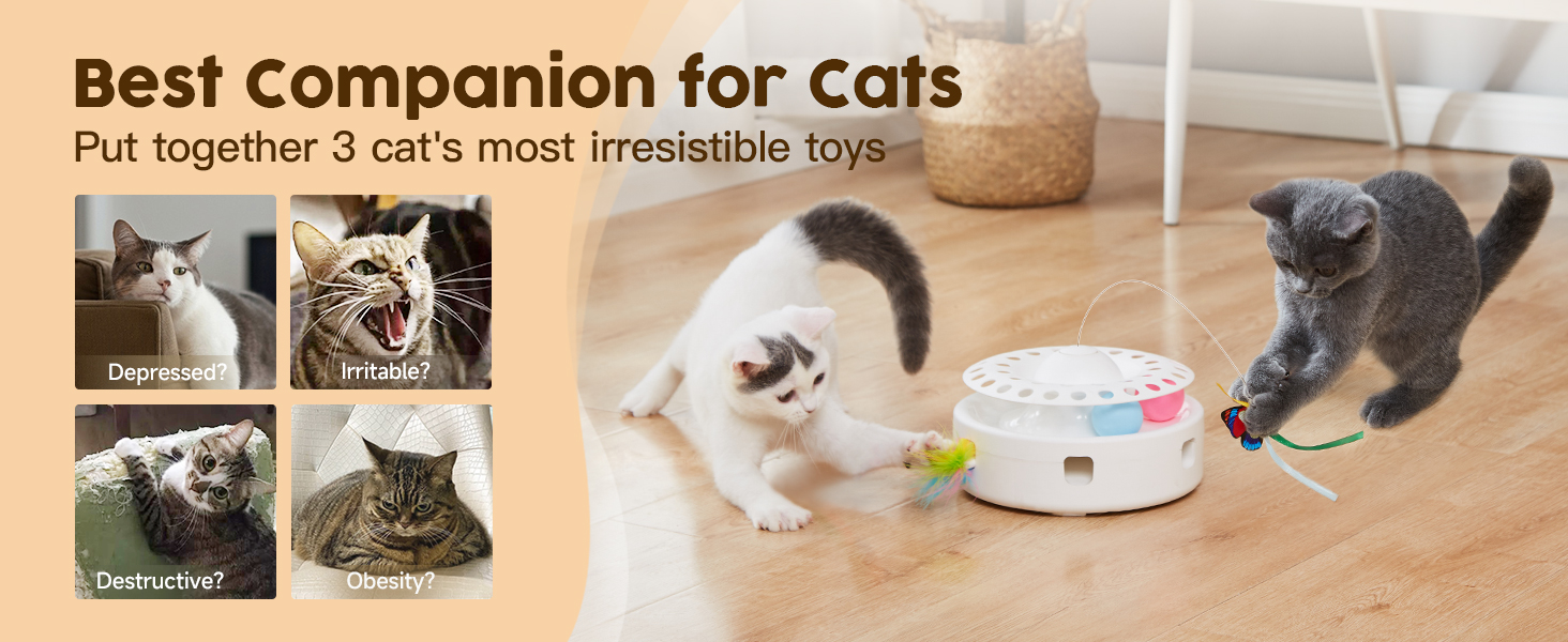 Smart Cat Toy