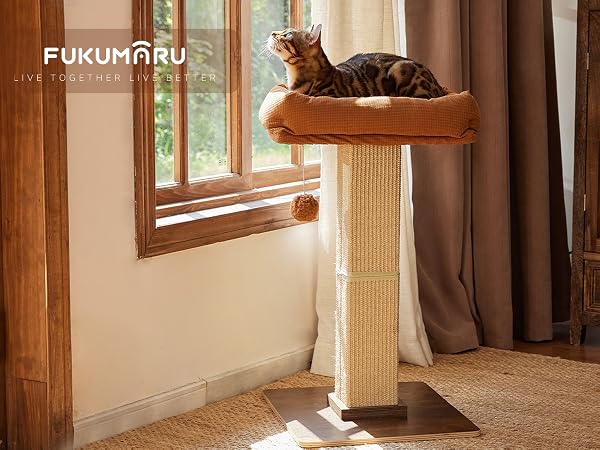 cat scratching post