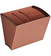 1InTheOffice Expandable Files Folders, Accordion File Folder Letter Size, Alphabetical File Organ...