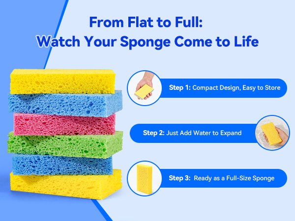 Flat compressed cellulose sponges expanding into full-size sponges after water is added.