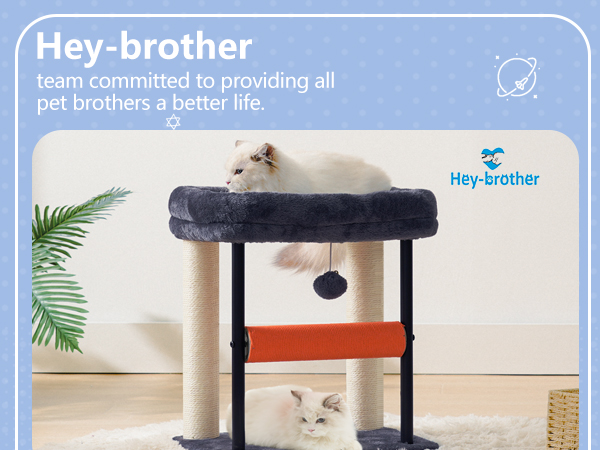 cat tree