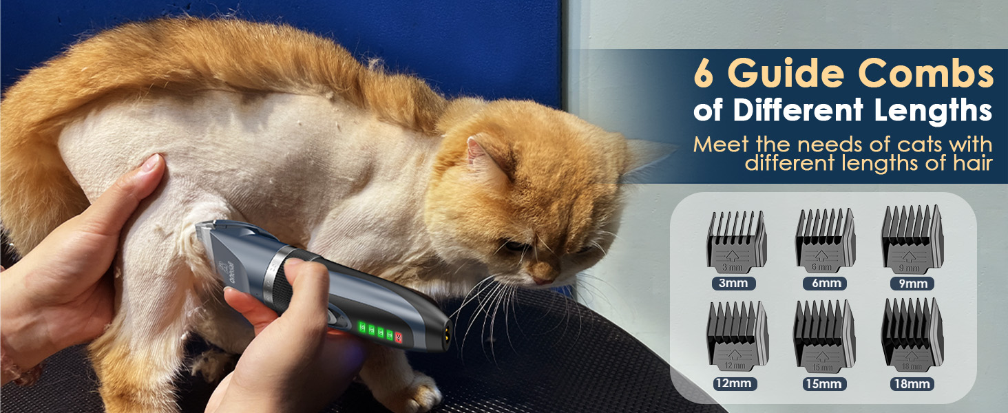 cat clippers