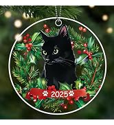 Black Cat Christmas Ornaments 2025, Cat Ornaments for Christmas Tree, Cute Acrylic Pet Ornament, ...