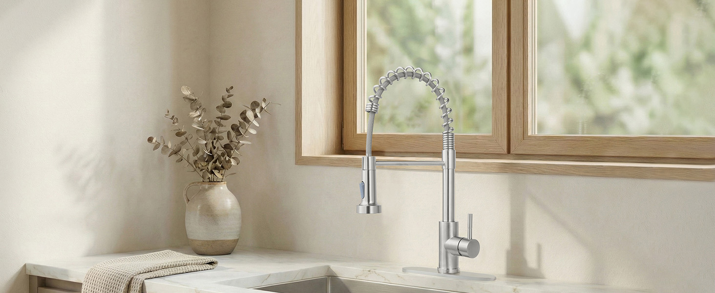 Kitchen sink faucet