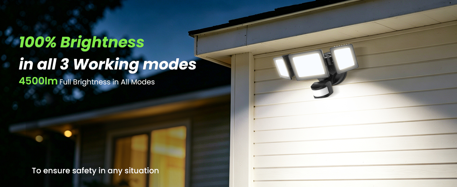 Motion Sensor Outdoor Lights