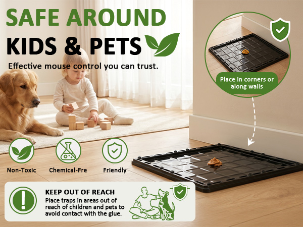 glue trap for mice