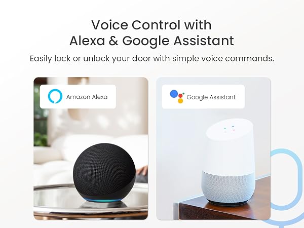 Alexa&Google Assistant