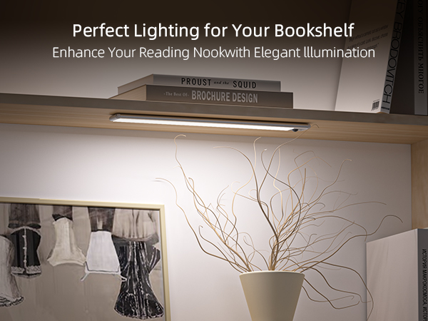 Motion Sensor Lights