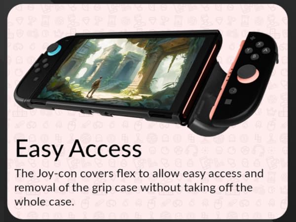 Nintendo Switch 2 Accessories