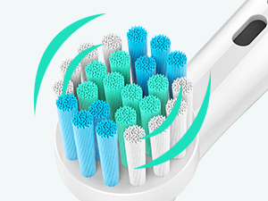 Toothbrush Heads for Oral B
