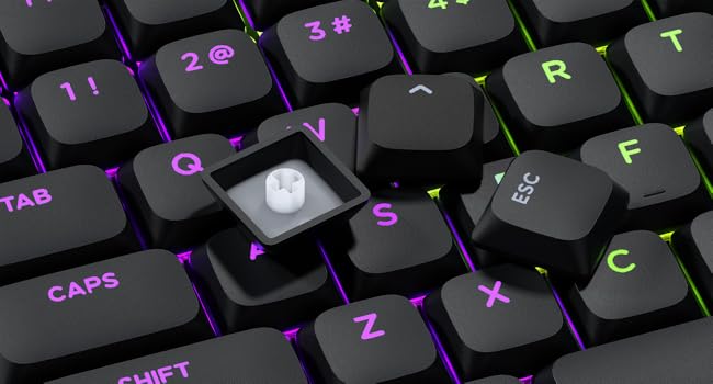 pbt keycaps