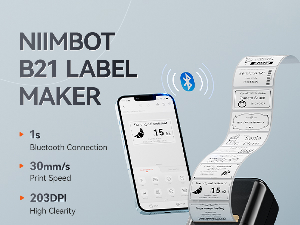 NIIMBOT B21 Retro label printer