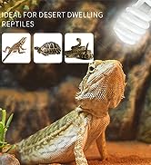 reptile bulb