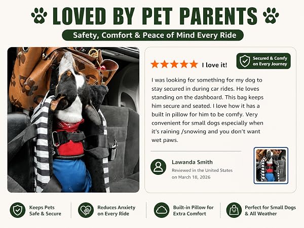 small dog carrier