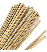Pllieay 20PC 1.33'/16 Inch Natural Thick Stakes Garden Stakes Bamboo Sticks for Outdoor and Indoo...
