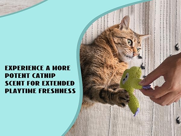 cat toys for indoor cats cat toy catnip cat toys interactive cat nip kitten toys cat nip for cats