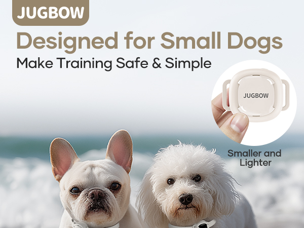 shock collar for dogs