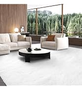 10x12 Area Rug Living Room: Large Shag Rug 10x12 for Living Room - White Fluffy Area Rug 10 X 12 ...