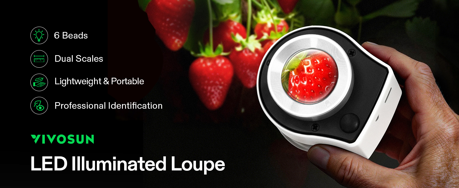 LED IllUMINATED LOUPE