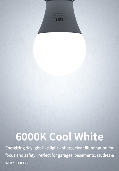 6000