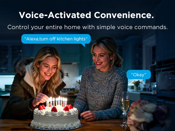 Voice Control